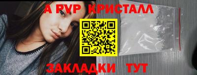 apvp Нальчик