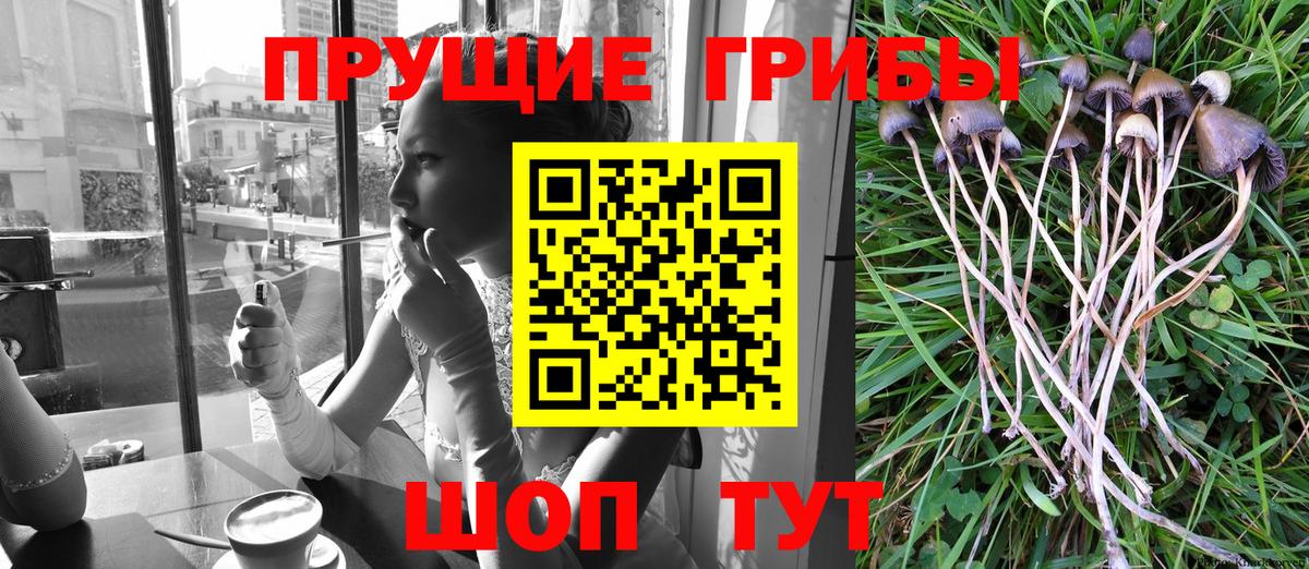 Галлюциногенные грибы прущие грибы Фрязино