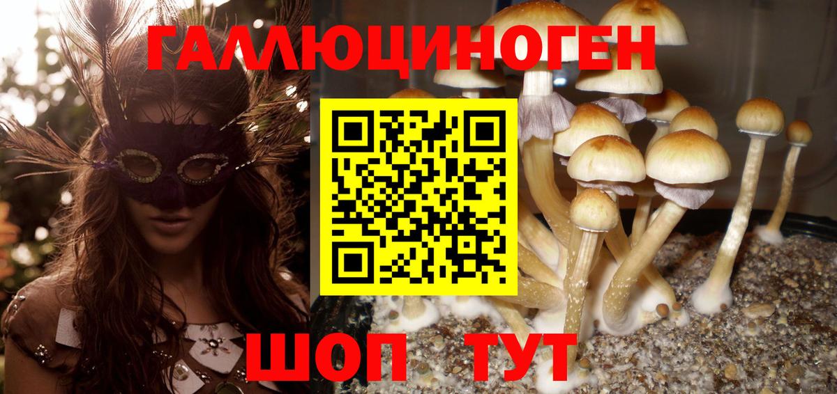 Фрязино  Галлюциногенные грибы Cubensis  Вход с VPN 